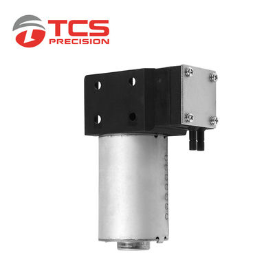 Massager Micro Vacuum Pump AC110V - 220V DC110V - 220V Diaphragm Air Pump